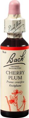 BACHBLUeTEN-Cherry-Plum-Tropfen