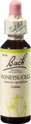 BACHBLUeTEN-Honeysuckle-Tropfen
