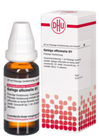 GALEGA officinalis D 1 Dilution