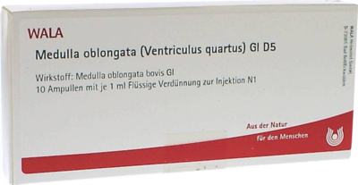 MEDULLA OBLONGATA Ventriculus quartus GL D 5 Amp.