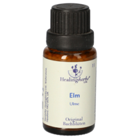 BACHBLÜTEN Elm Globuli Healing Herbs