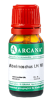 ABELMOSCHUS LM 6 Dilution