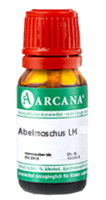 ABELMOSCHUS LM 19 Dilution