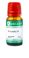 PULSATILLA LM 100 Dilution