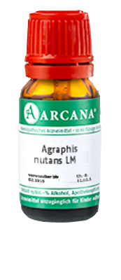 AGRAPHIS NUTANS LM 16 Dilution