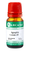 AGRAPHIS NUTANS LM 17 Dilution