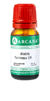 ALETRIS FARINOSA LM 23 Dilution