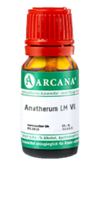 ANATHERUM LM 6 Dilution