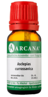 ASCLEPIAS CURRASSAVICA LM 1 Dilution