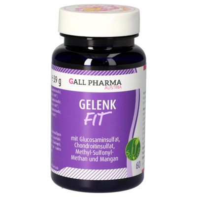 GELENK-FIT GPH Kapseln