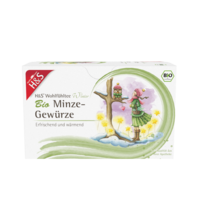 H&S Wintertee Bio Minze-Gewürze Filterbeutel