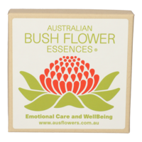 ADULT Angel Pendant light purple glass