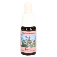 BORRETSCH ESSENZ Tropfen