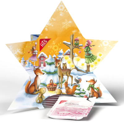 H&S Adventskalender Stern Filterbeutel